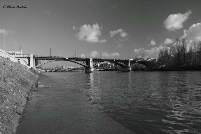 Au bord de la Seine à Courbevoie en regardant le pont Levallois, là où les cygnes sont. Hauts de Seine, Île de France, France.